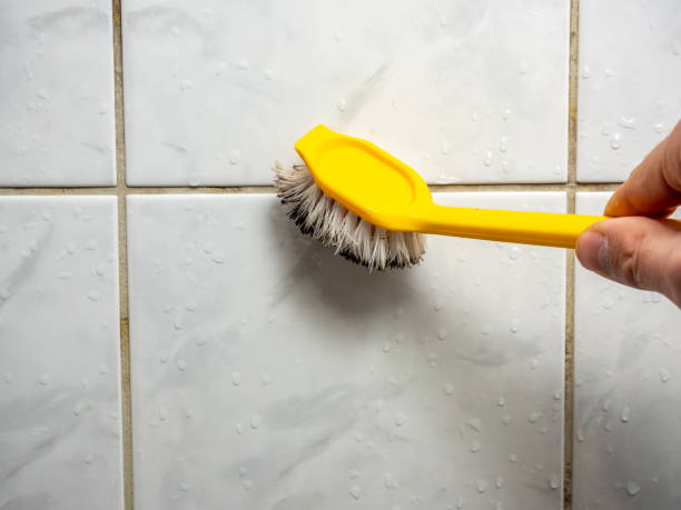 Best Mold Cleaning Services  in Columbus, WI