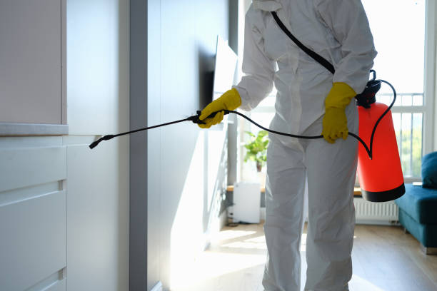 Best Best Mold Removal Companies  in Columbus, WI