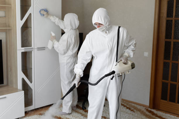 Mold Removal Process in Columbus, WI