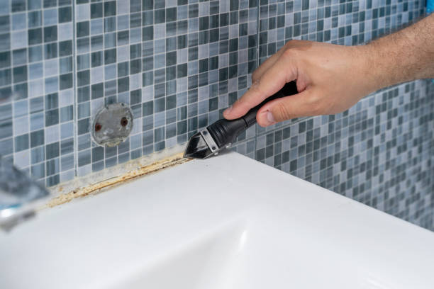 Professional Mold Removal in Columbus, WI
