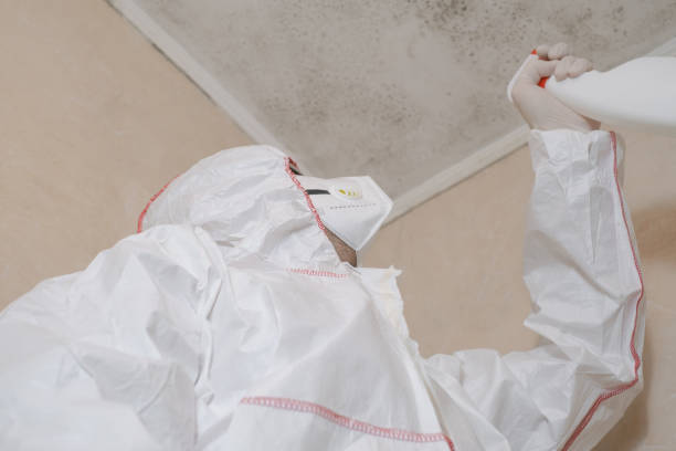 Best Professional Mold Removal  in Columbus, WI
