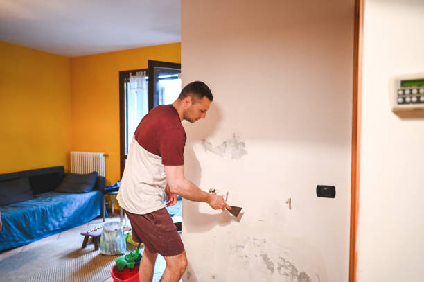 Best Local Mold Removal Service  in Columbus, WI