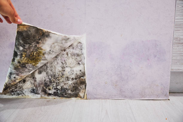 Water Damage Restoration in Columbus, WI